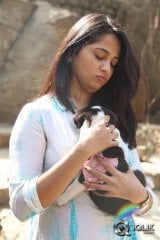 Anushka at Blue Cross Pet Carnival 2014